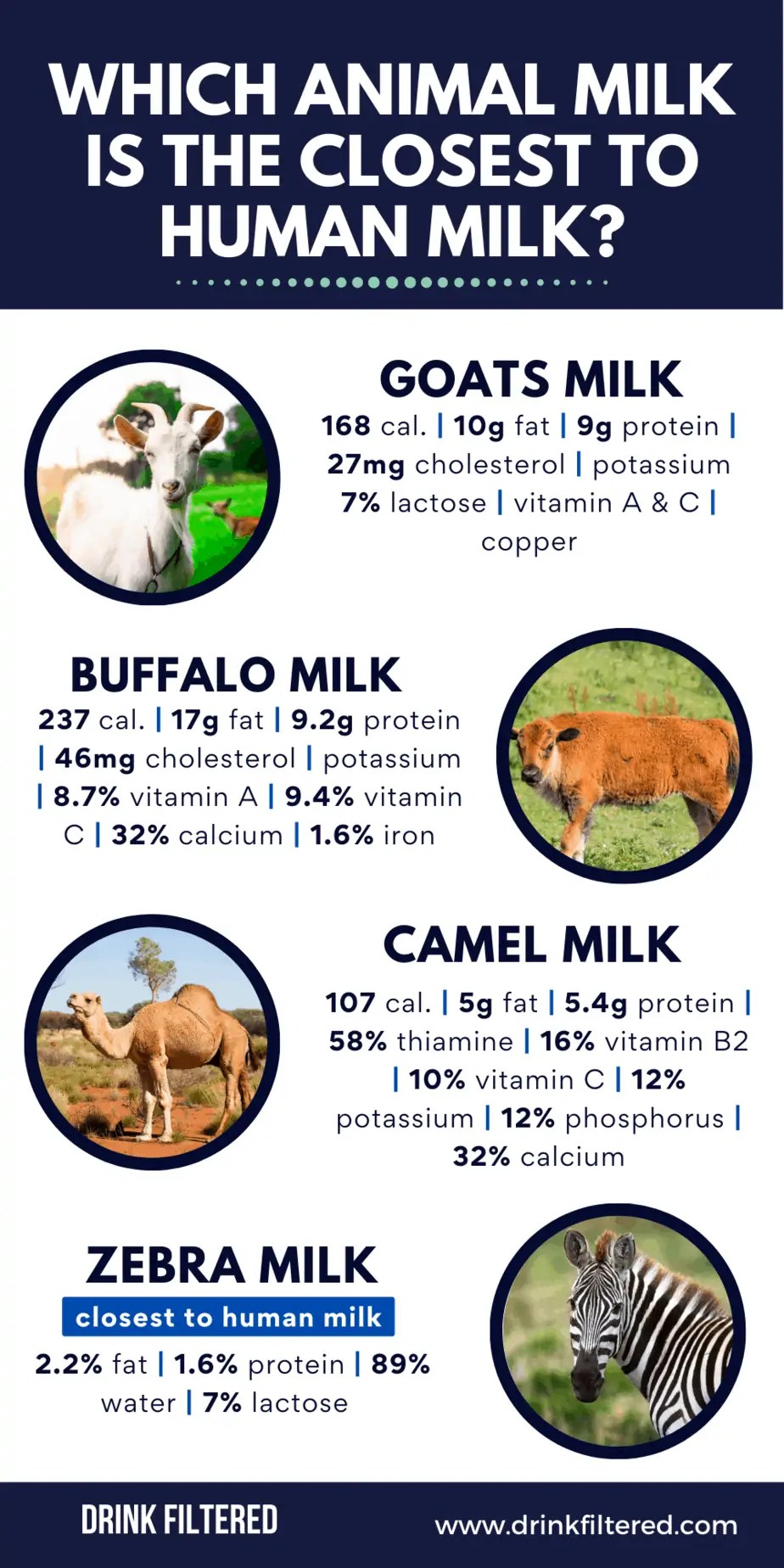 The Best Animal Milks Alternatives To Cow's Milk