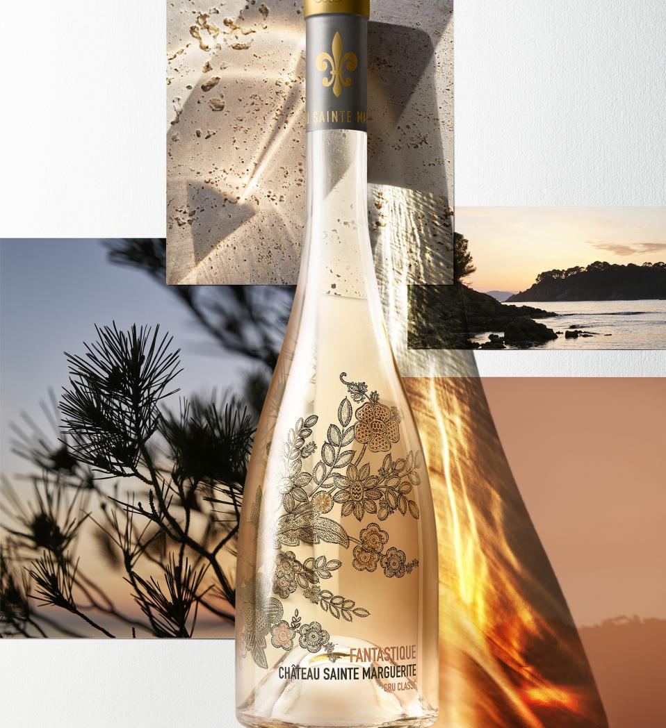 The Past, Present, and Future of Rose with Sainte Marguerite en