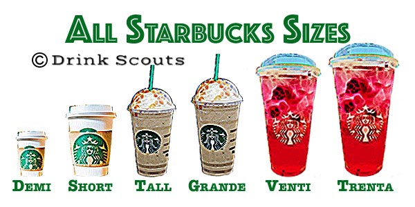 Understanding Starbucks Drink Sizes (And Cup Sizes) | Drink Scouts