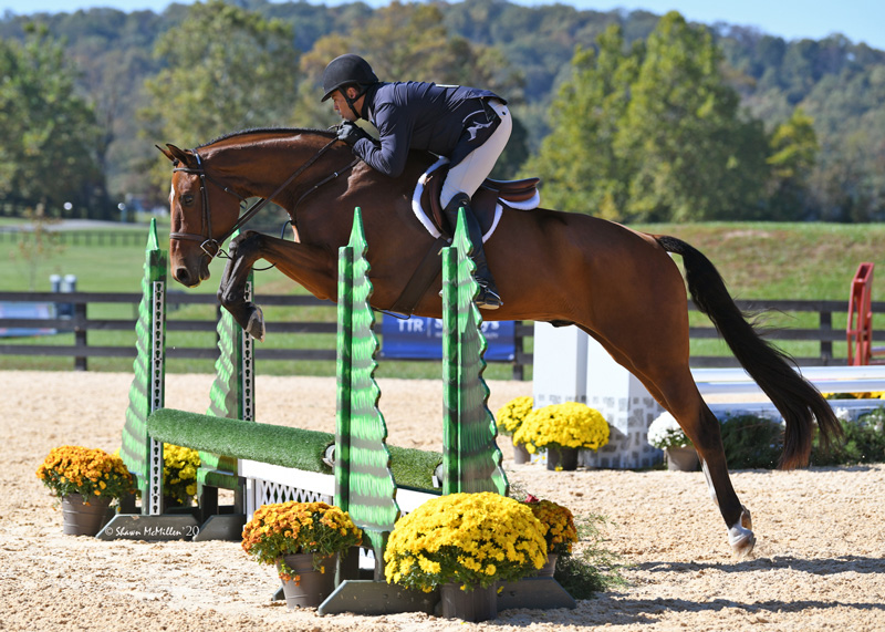 WIHS Regional Horse Show & USHJA Zone 3 Championship Returns to Morven