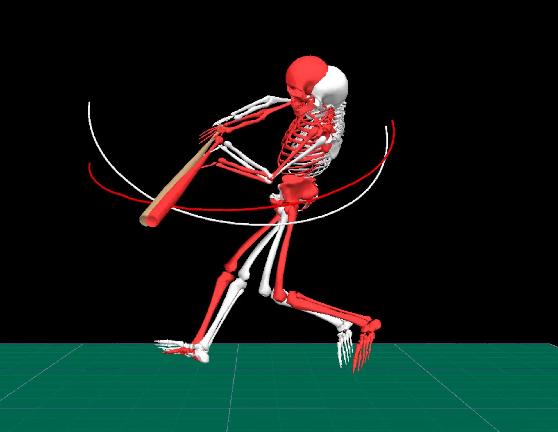 Hitting Biomechanics Driveline Baseball