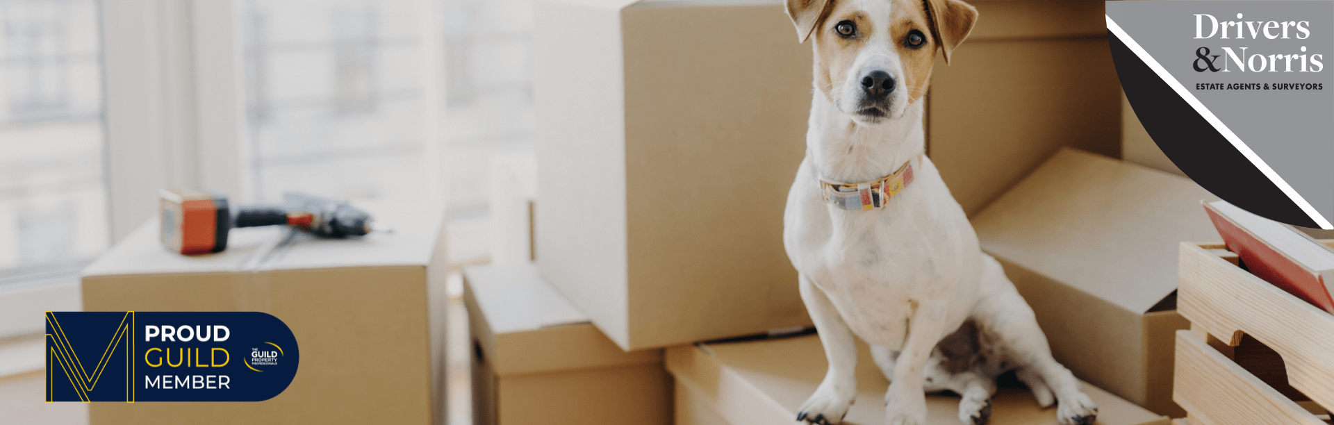 Tenants with Pets protection for landlords key to progress Drivers