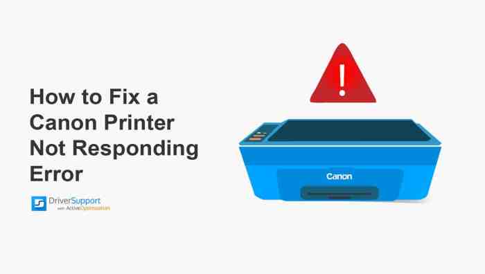 How to fix Canon printer not responding error