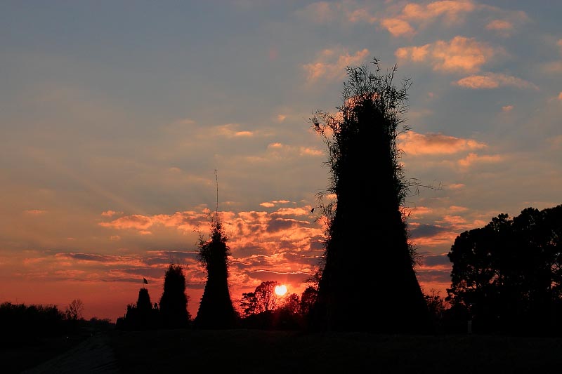 2023 Bonfire Christmas Eve Louisiana Louisiana Christmas Eve Bonfires DrJoePhoto