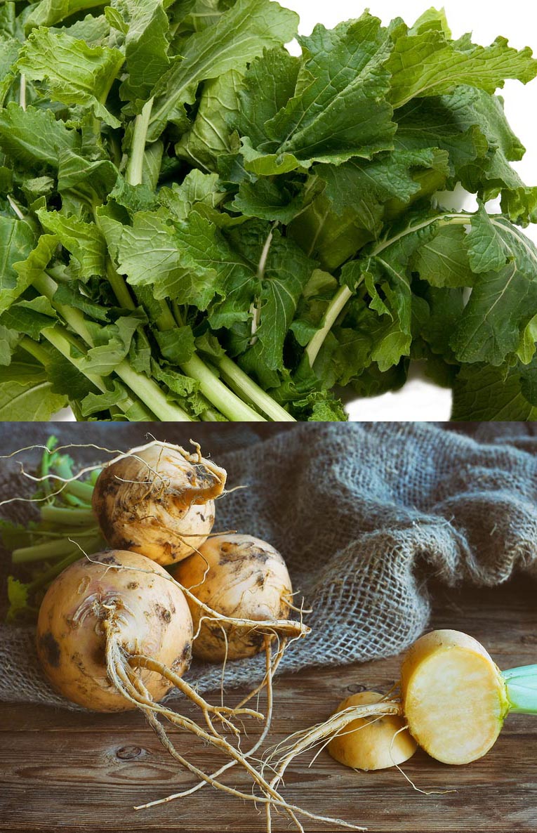 Turnip Greens A Powerhouse for Good Health Healthy Living, Wellness