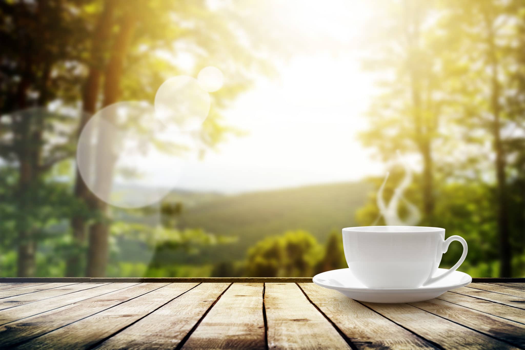AntiAllergy Tea Dr. Kara Fitzgerald
