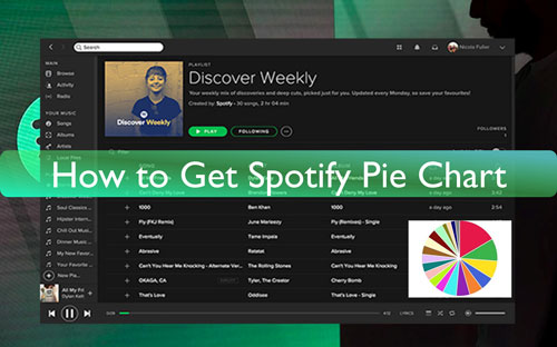 Spotify Pie Chart: How to Find and See