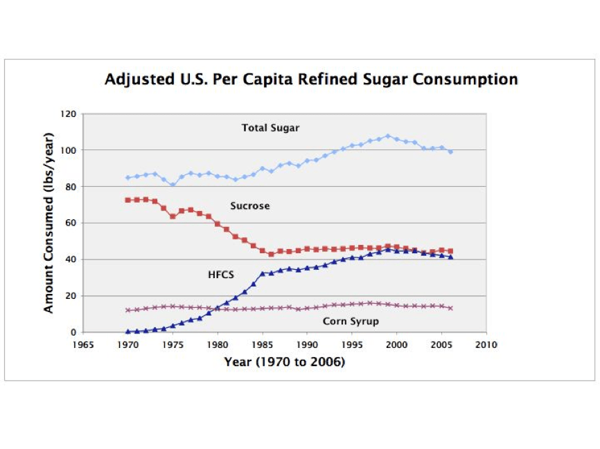 How the USA Got So Fat Human Limits Michael J. Joyner, M.D.