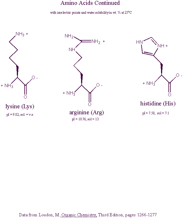 Amino Acid Structures at Physiological pH