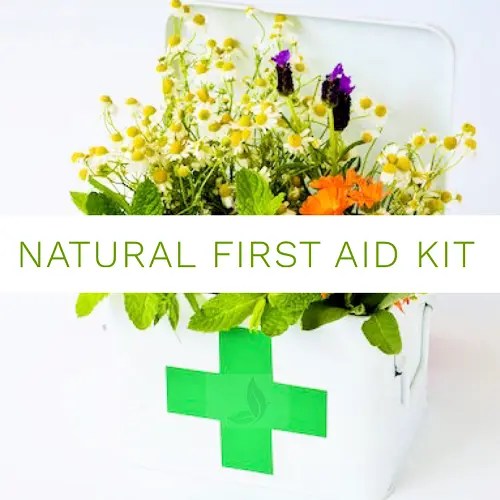 Natural First Aid Kit Naturopathic Doctor Nirvana