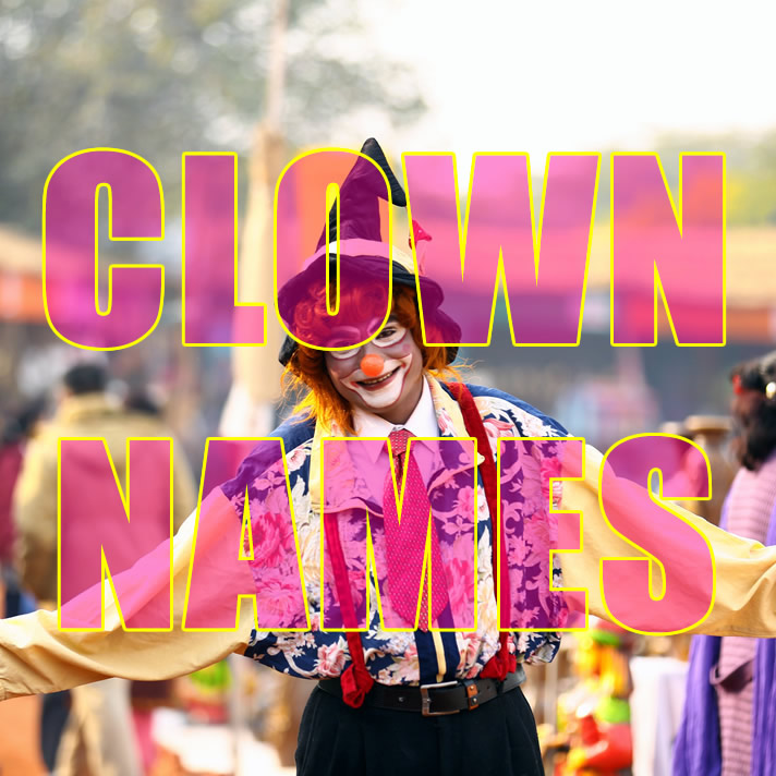 138+ Clown Names Ideas