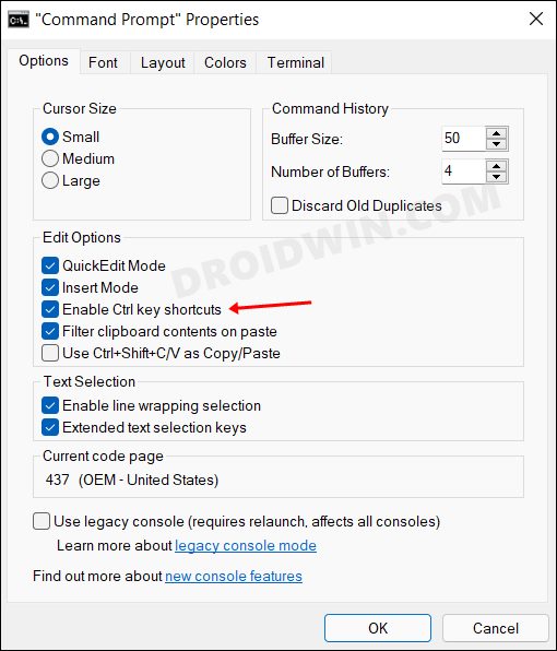 Ctrl + C/Ctrl + V Not Working in Windows How to Fix DroidWin