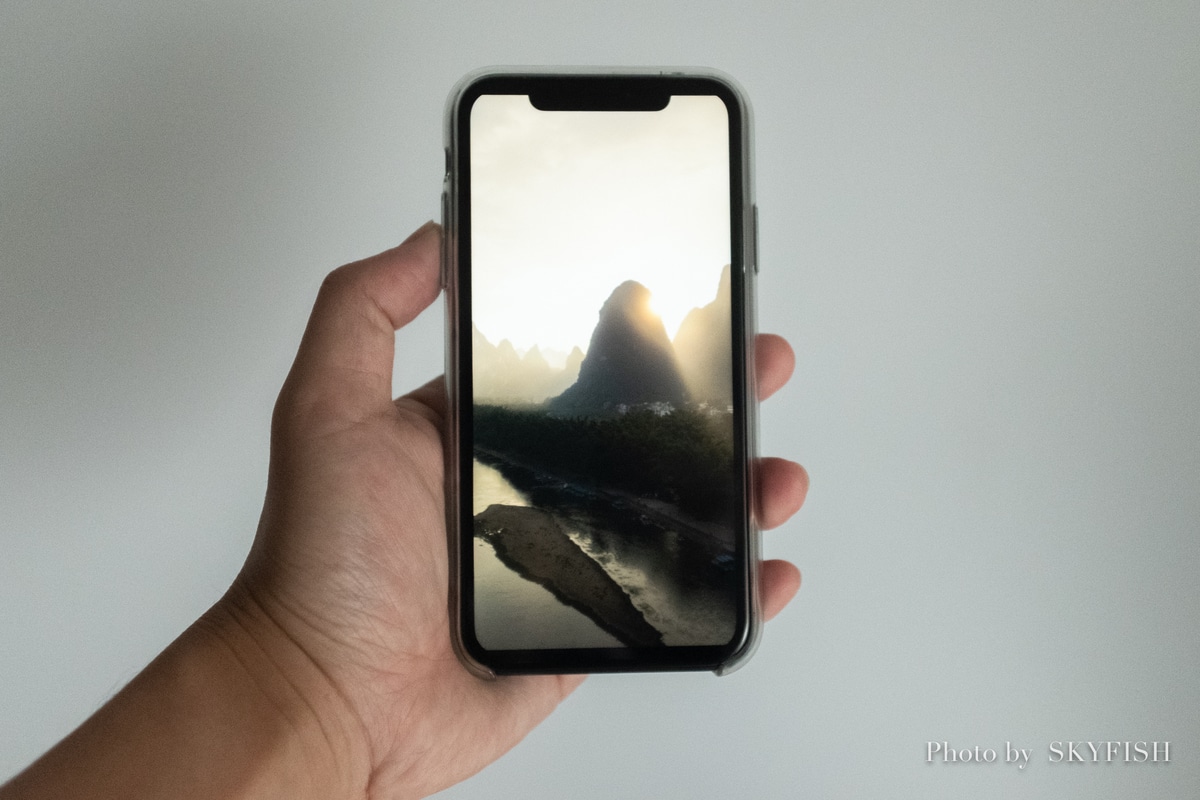 【Apple】iPhone XSを買ったのにiPhone XRを買ったのでレビュー【iPhoneXS・iPhoneXR】 スカイフィッシュ