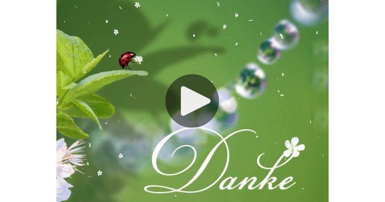 Meine Karte Danke mit Marienkäfer
