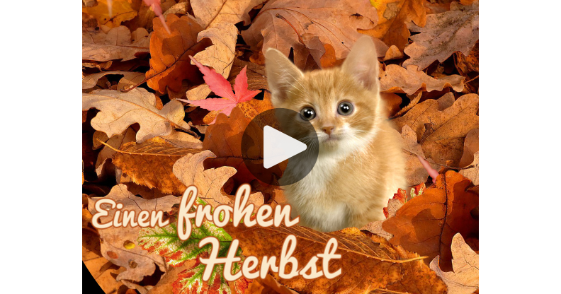 Meine Karte Einen frohen Herbst mit kleiner Katze