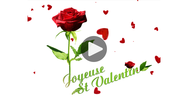 carte st valentin 2023 Ma Carte - Une Rose Pour La St Valentin