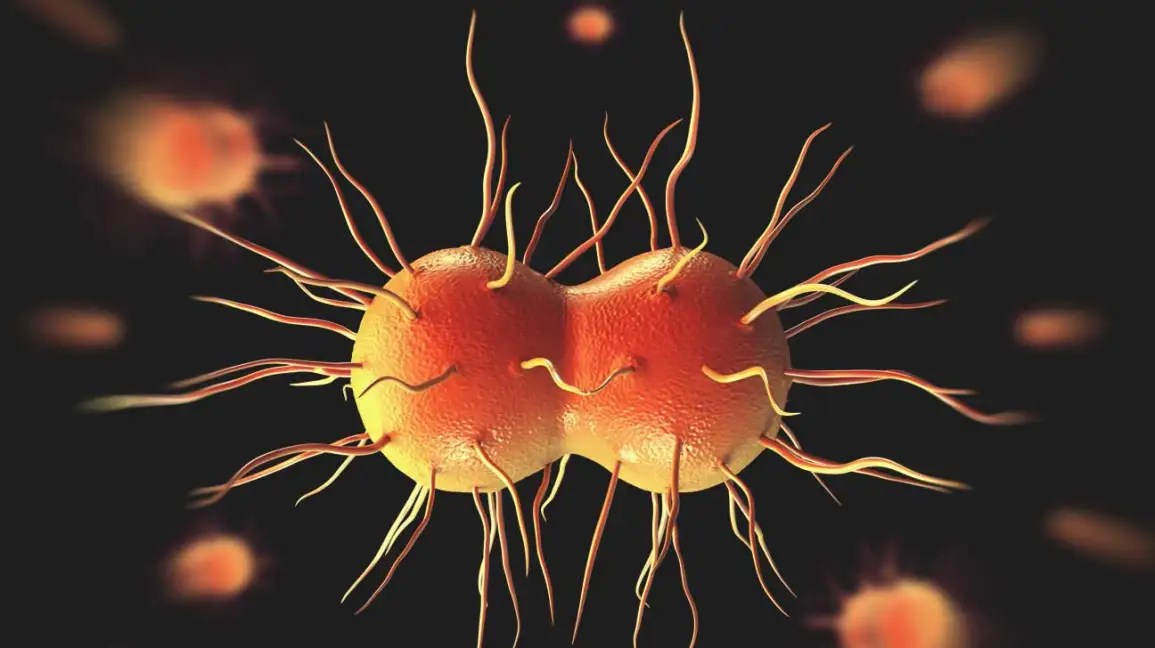 Rectal Gonorrhea Causes, Risks, and Effective Prevention Strategies
