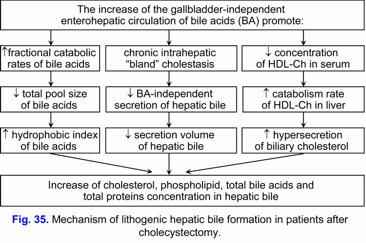 Postcholecystectomy Syndrome, or Condition after Cholecystectomy