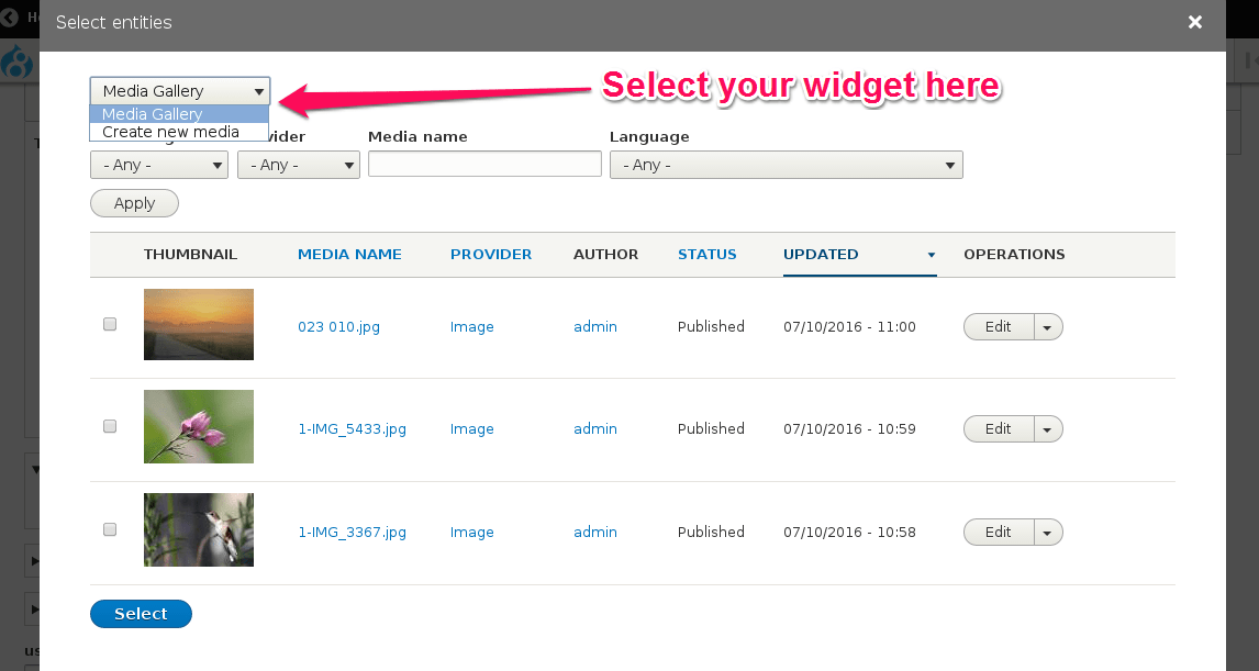 Widget selectors Entity Browser Drupal Wiki guide on