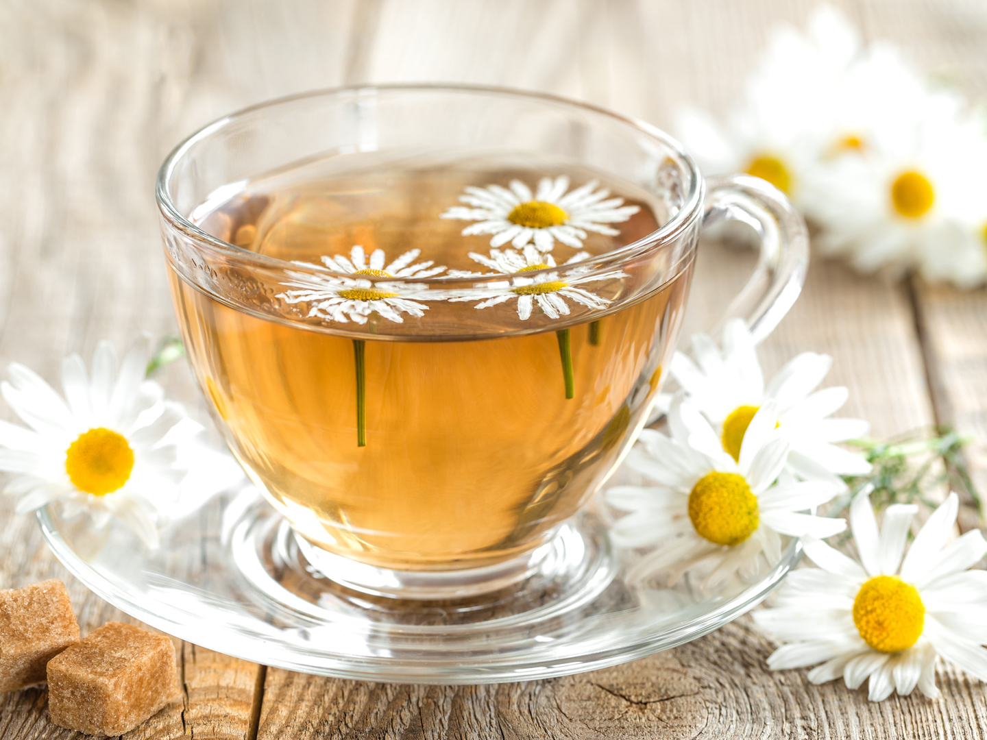 Chamomile Uses, Interactions, Safety Concers and Doses