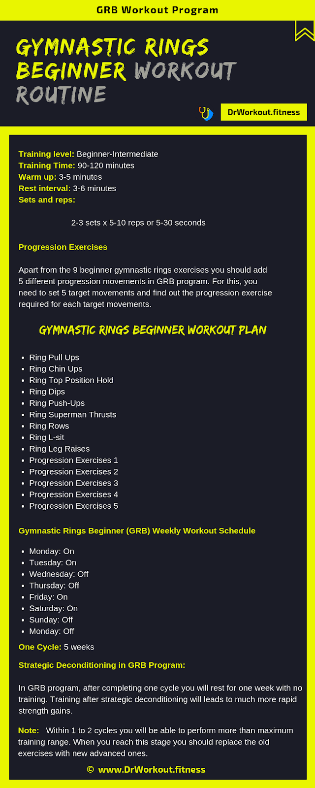 Gymnastic Rings Workout Routine for Beginners (GRB Workout) Dr Workout