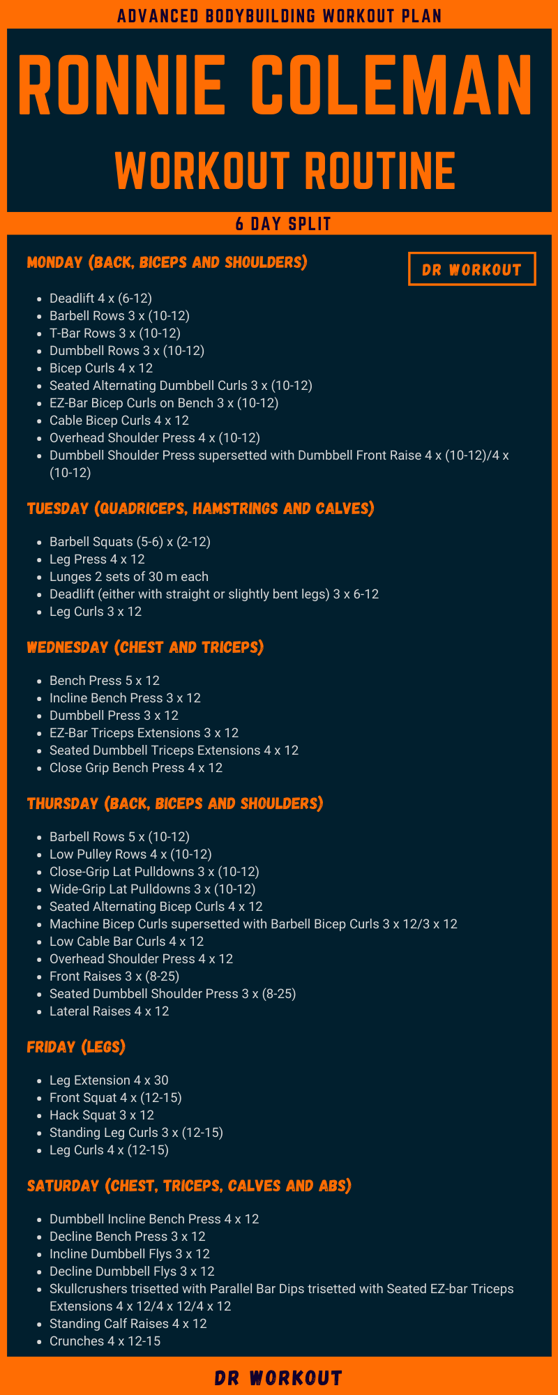 Ronnie Coleman Workout Routine Dr Workout