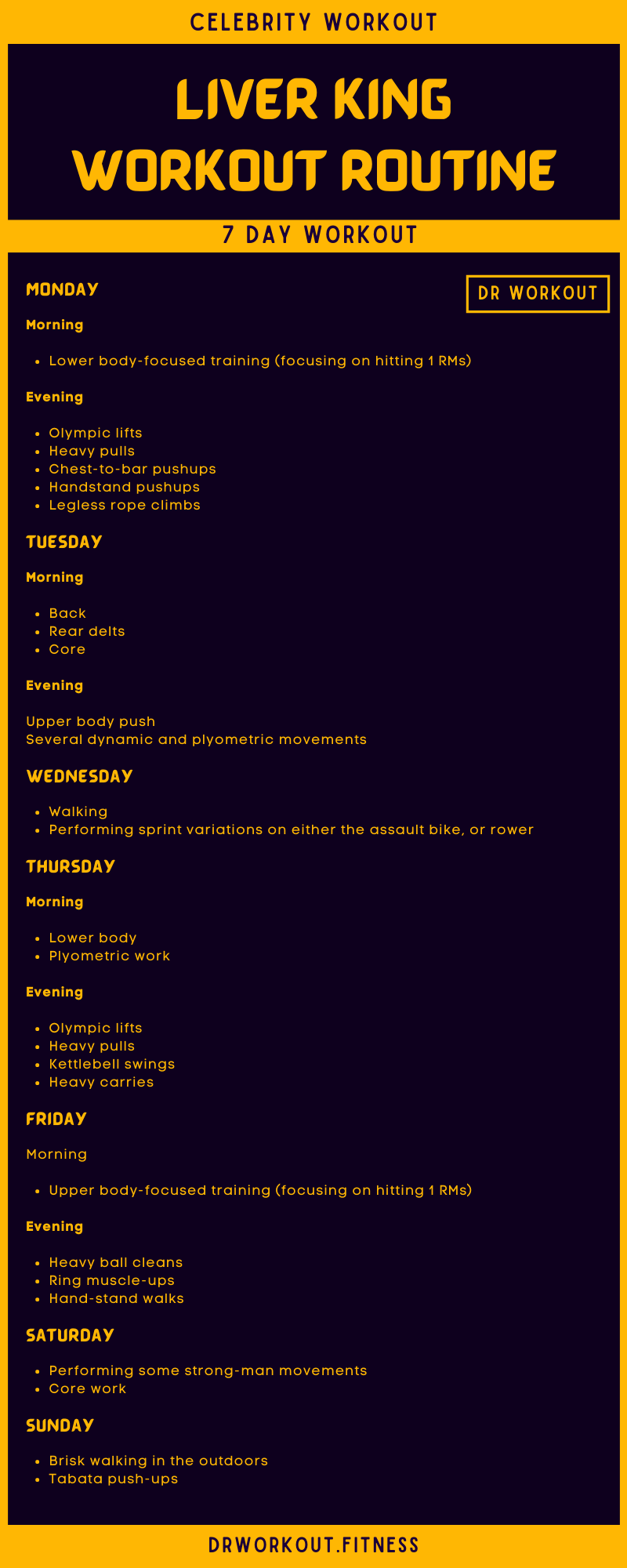 Liver King's Workout Routine and Diet Plan Dr Workout