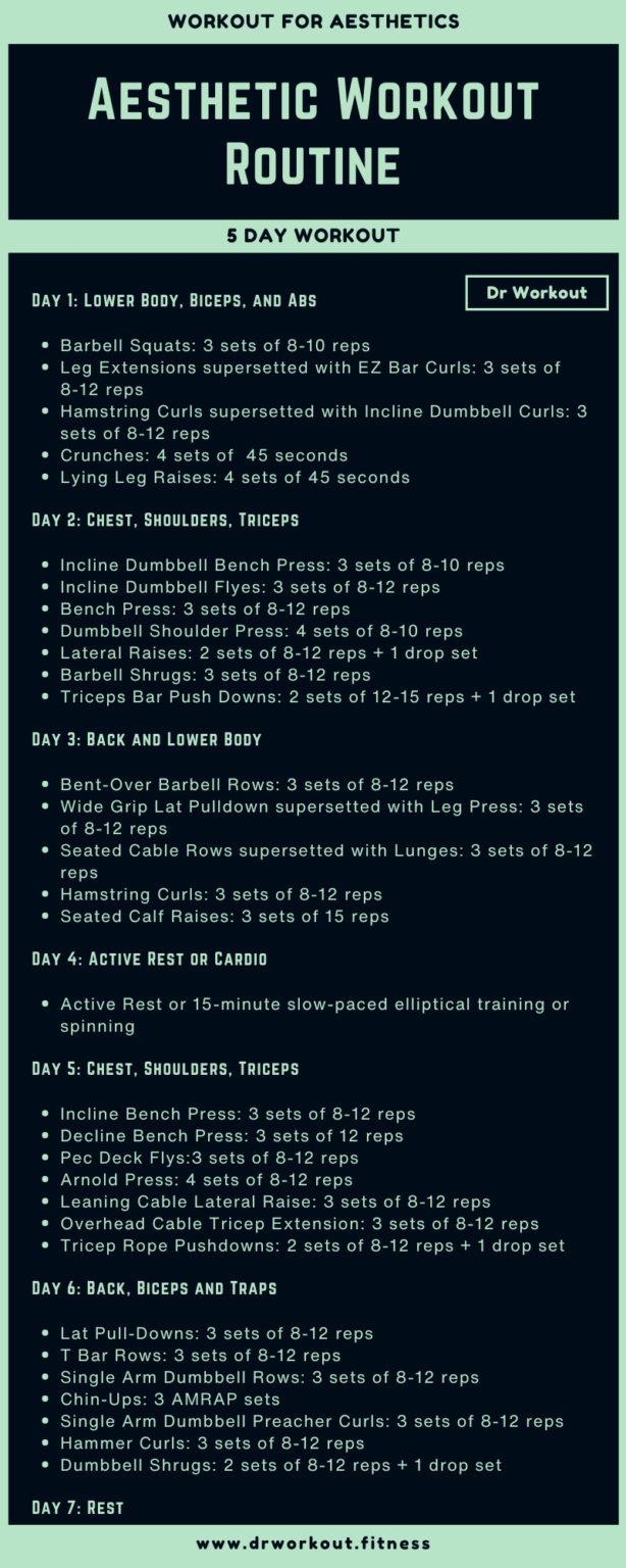 Aesthetic Workout Routine And Diet Plan With Pdf Dr Workout