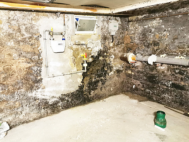 BautenschutzBäcker GmbH Rheinland · Trocknung, Wand, Keller