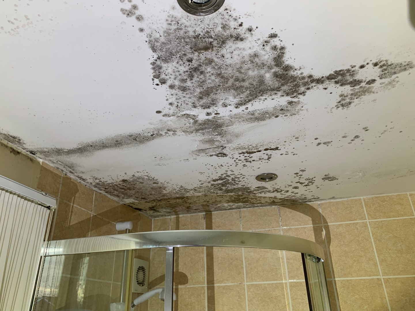 Condensation and Black Mould Dry Abode Property Care