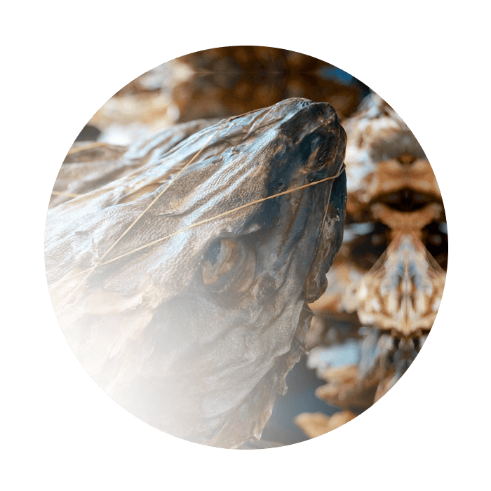 Dry fish DRYFISH ICELAND