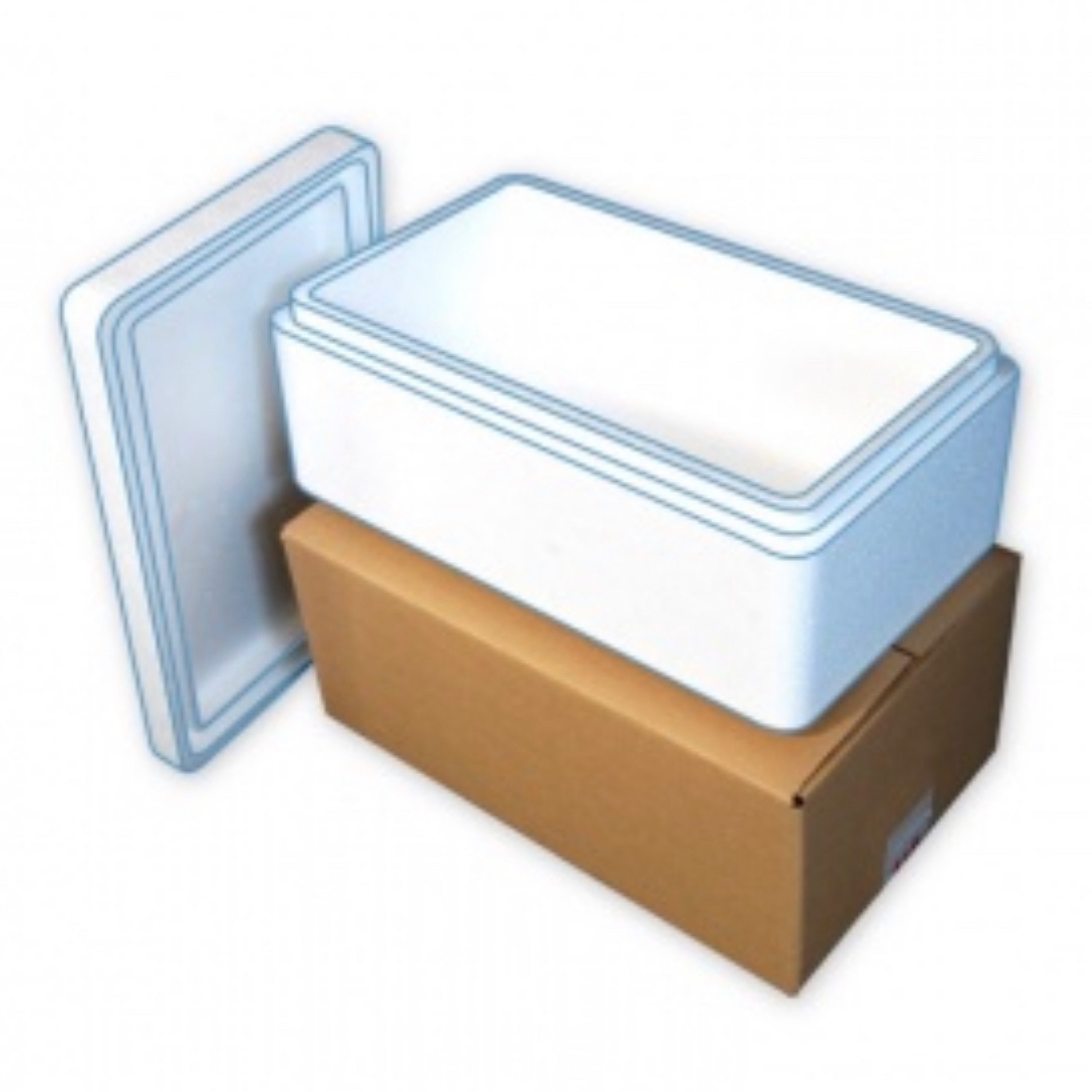 20KG POLYSTYRENE BOX 22 LITRES EPS (400x300x280MM) DRY ICE MAKERS