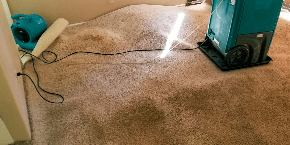 Mold, Mildew, and Misery Combating Water Damage's Aftermath Drying Tech