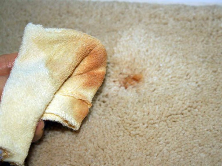 How To Remove Rust Stains From Outdoor Carpet at Paul Ponce blog