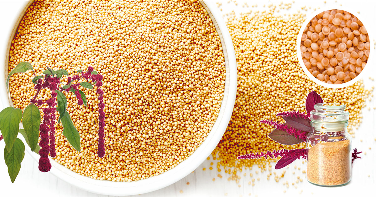 Propiedades terapéuticas del amaranto — DSalud