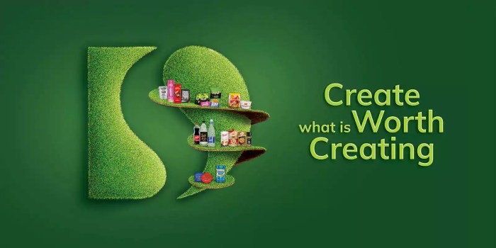 Ds group net worth 2025