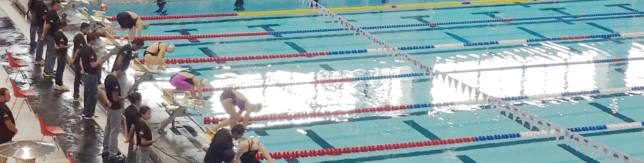  Down Syndrome International Swimming Organisation