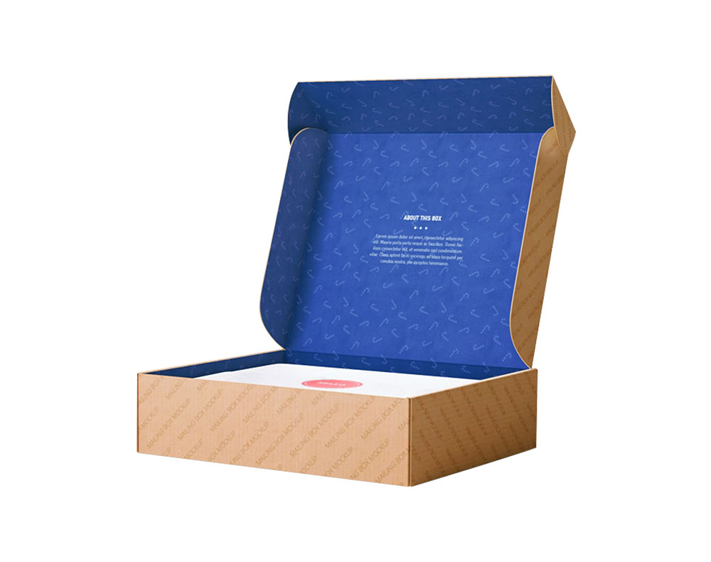 DSN Advanced Technology Carton Box Johor Bahru Packaging Display