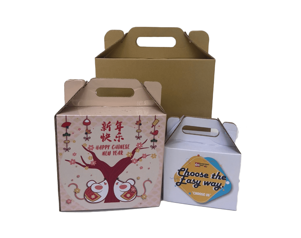 DSN Advanced Technology Carton Box Johor Bahru Packaging Display Standing Corrugated