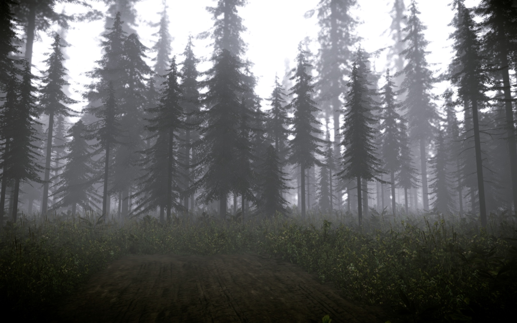 Forest Wallpaper Tumblr HD Wallpapers Plus