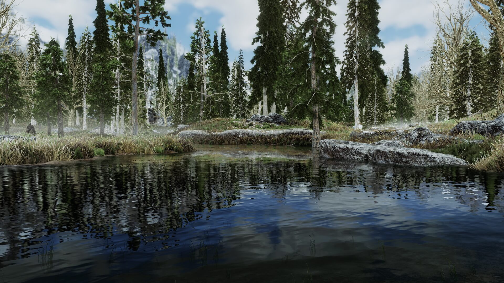 Skyrim Landscape Overhaul HD replaces all landscape textures with new