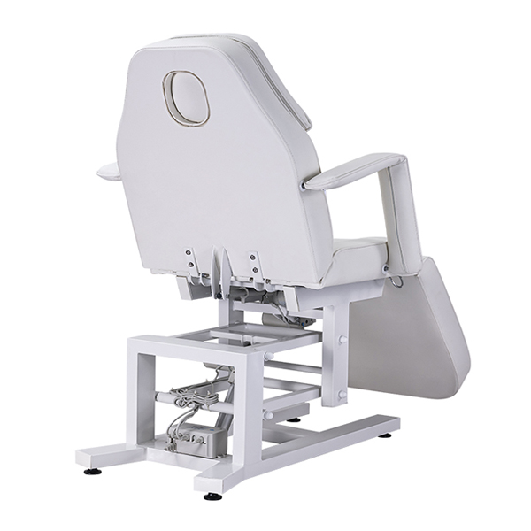 Beauty Beds Electric Bed with Heated Function (White) DSSE