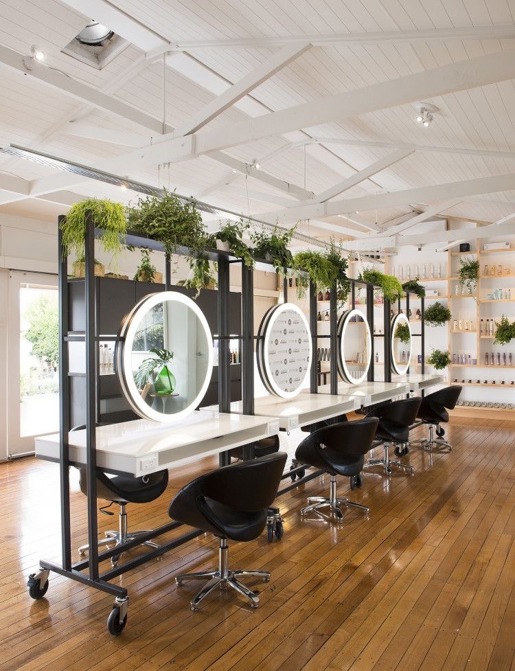 9 Airpurifying plants for your salon DSSE