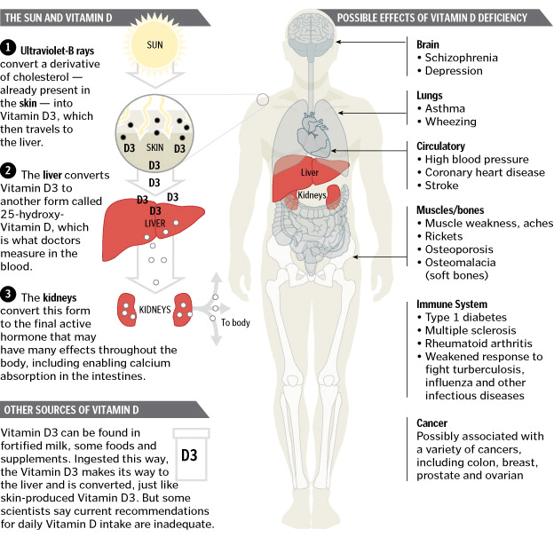 Vitamin D 25OH Archives DSSurgery