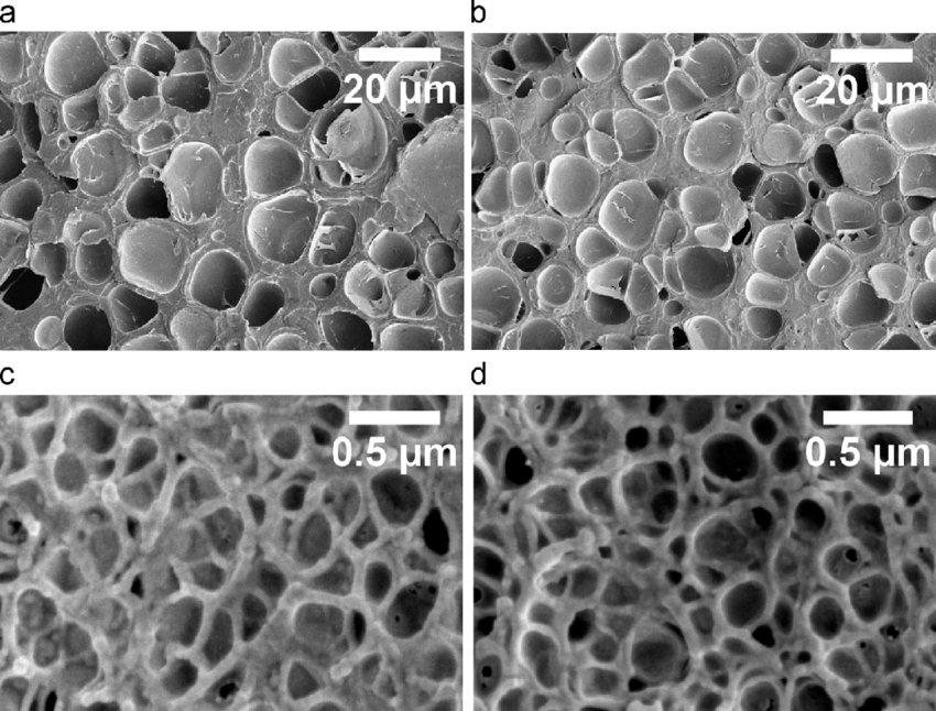 PVA Sponge Pore Structure Specilize in Industry Cleaning