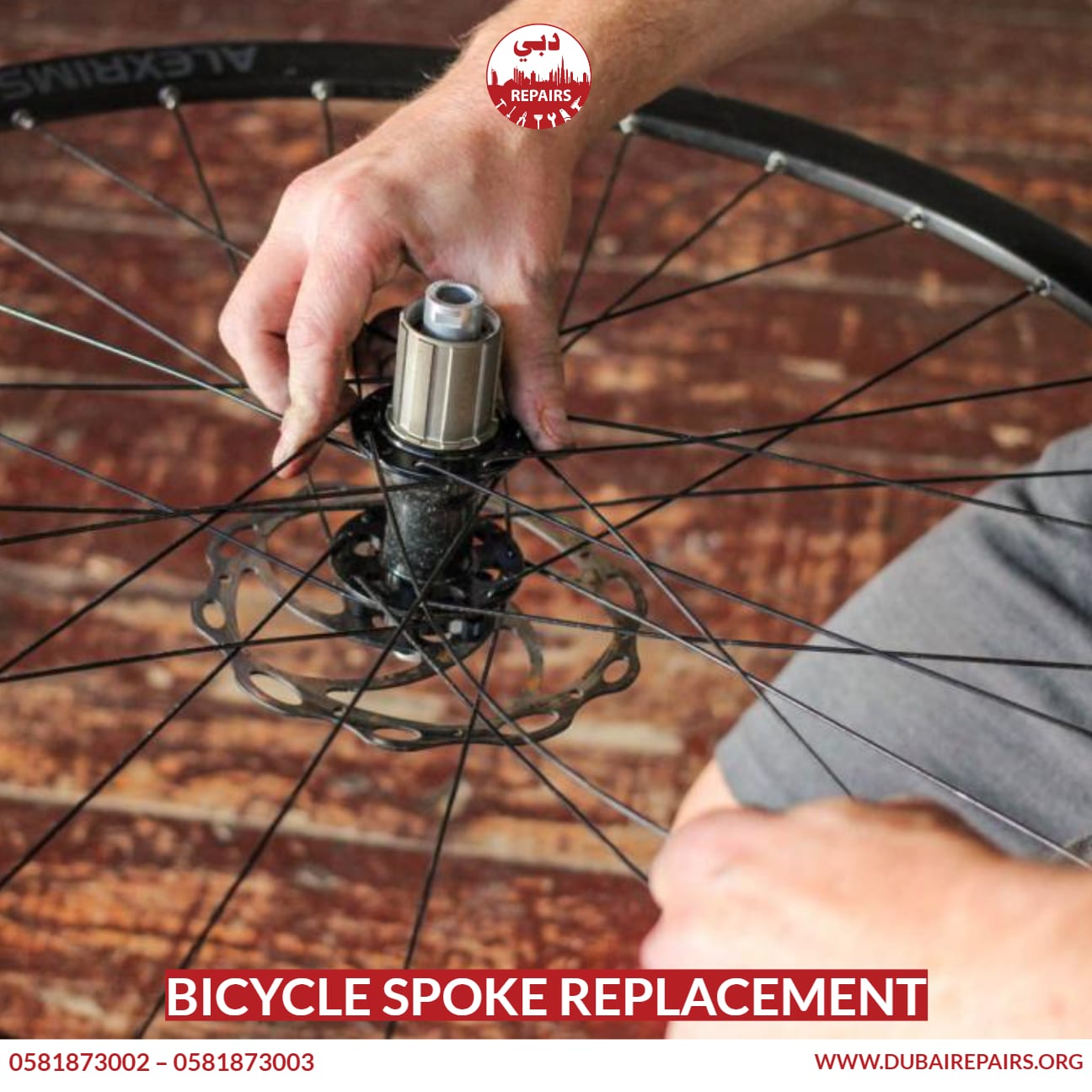 Bicycle Spoke Replacement 0581873003 Dubai Repairs