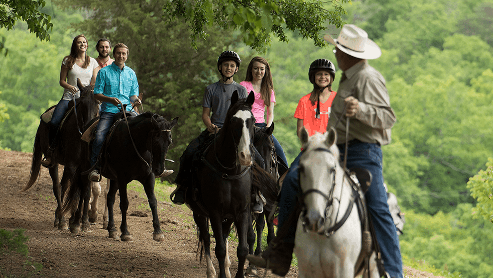 Five Oaks Riding Stables Dubby's Attractions