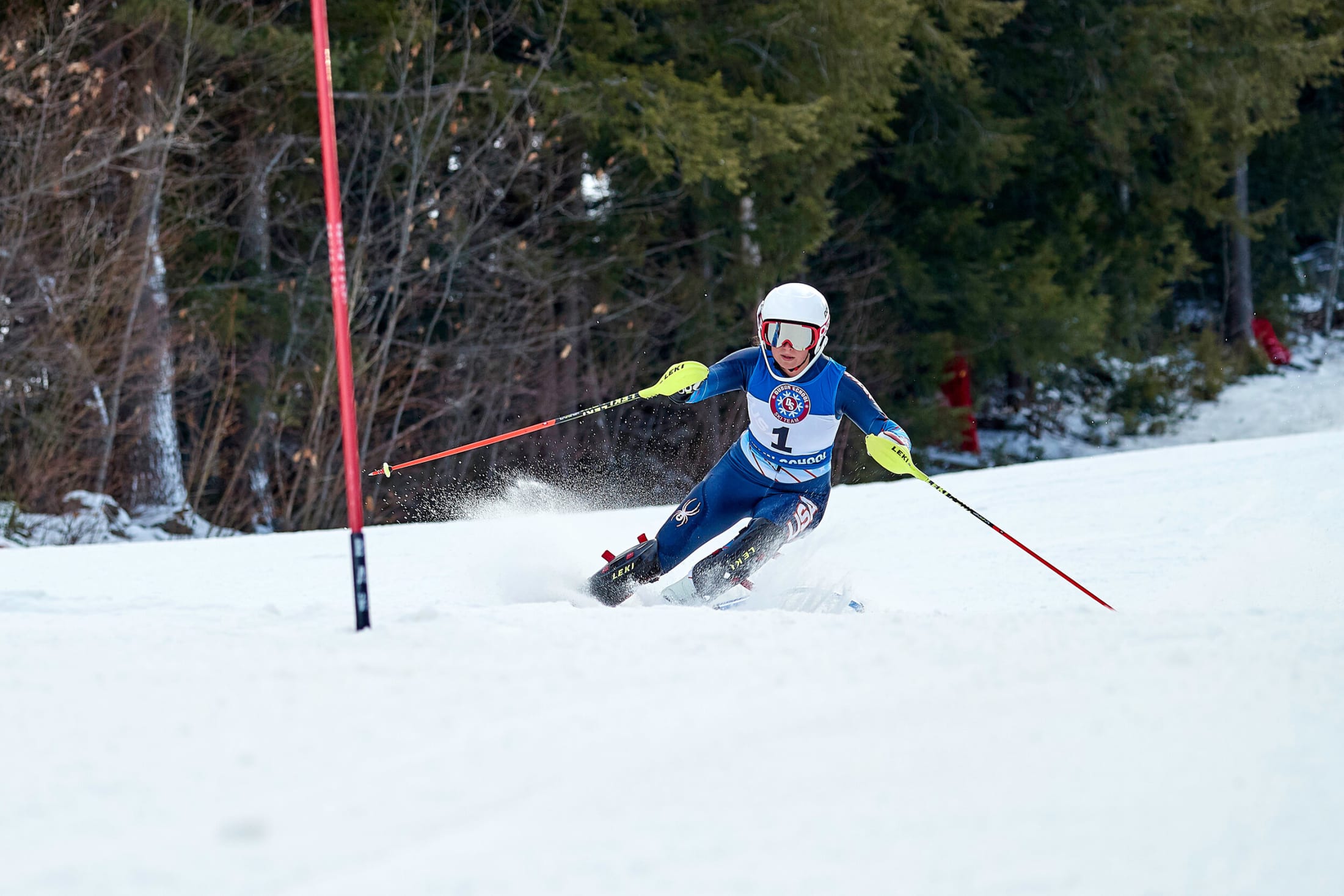 Team Details Dublin School