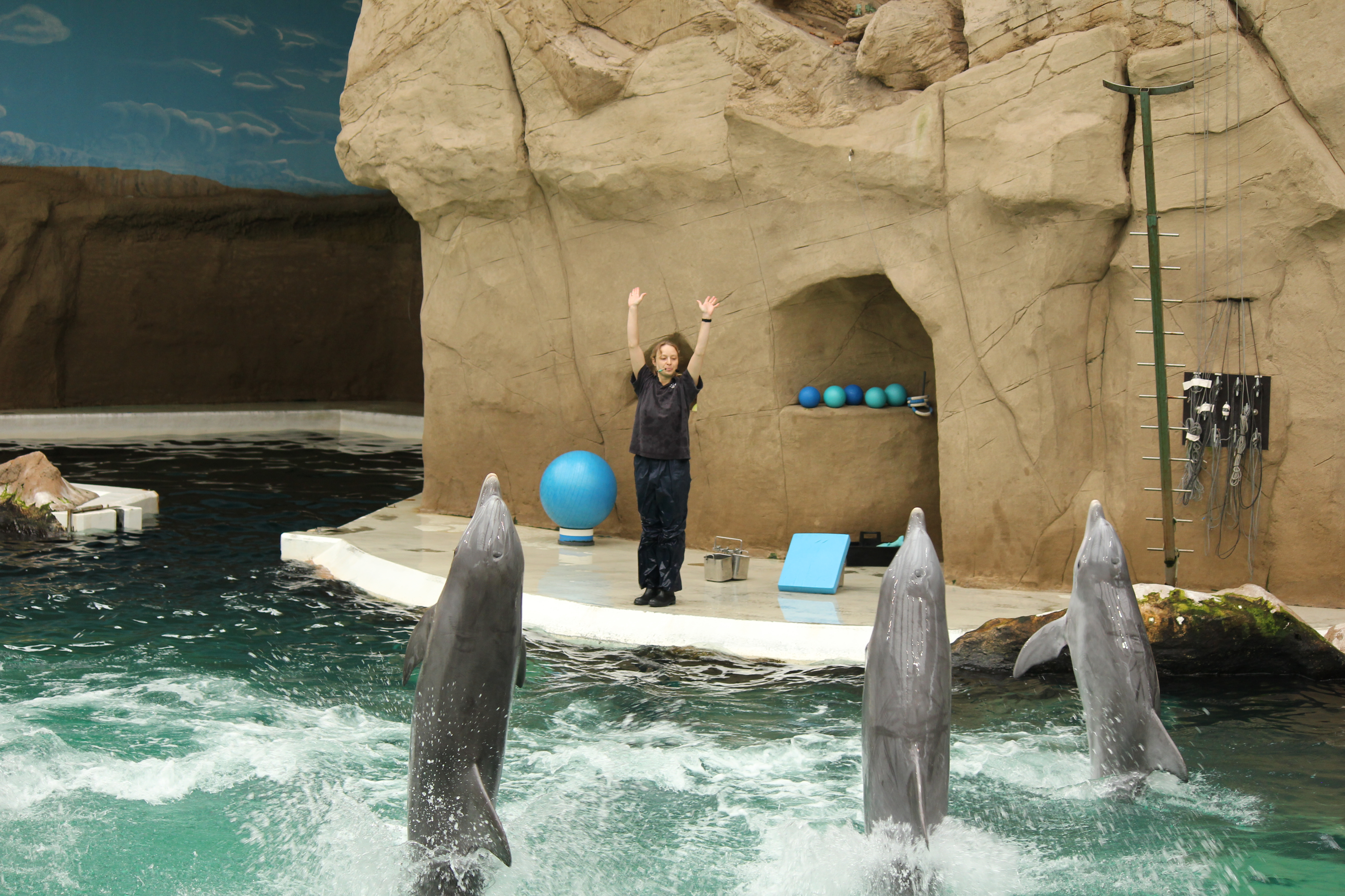 Zoo Duisburg Duisburg Live