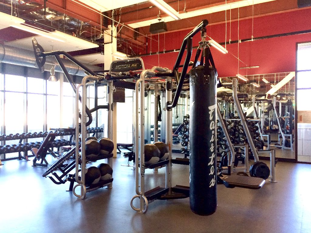 san diego Archives The Dumbell Man